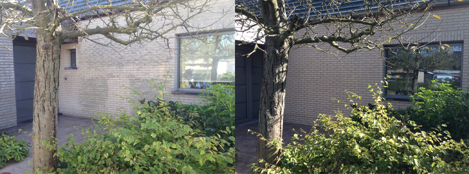 Michelet Rénovation