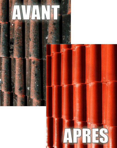 Michelet Rénovation