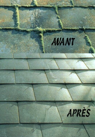 Michelet Rénovation